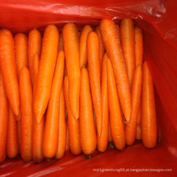 A Grade Chinese Fresh Carrot à venda